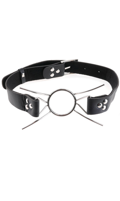 "Fetish Fantasy Extreme Spider Gag PD3630-00"