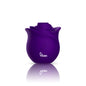 "Zen Rose - Violet VB-75013"