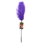 "Ostrich Tickler - Purple SS700-02"