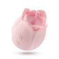 "Play With Me Romantic Rose - Pink BL-25300"