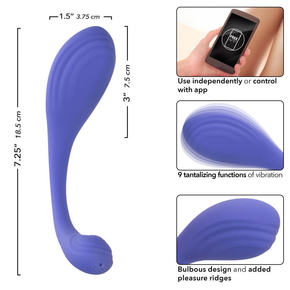 CalExotics Connect Kegel Exerciser - Periwinkle - Pleasure Palace