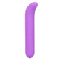 Bliss Liquid Silicone Mini G Vibe - Purple - Pleasure Palace