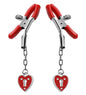 "Charmed Heart Padlock Nipple Clamps MS-AE203"