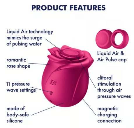 Satisfyer Pro 2 Classic Blossom Air Pulse Stimulator – Plum - Pleasure Palace
